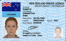 Sample of a learner licence