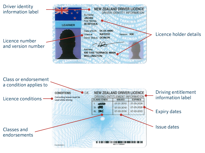 Photo driver licence content graphic