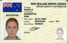 Yellow photo driver licence