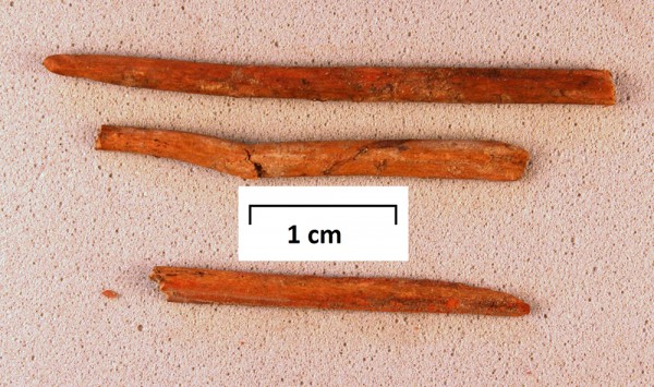 Parts of Maaori wooden comb. Photo credit Dr. Rod Wallace 