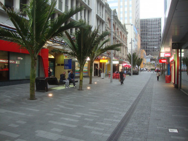 Paved pedestrian street with palm trees