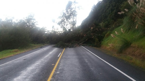 State Highway 2 near Pikowai camping ground on the Matata straight is closed bec