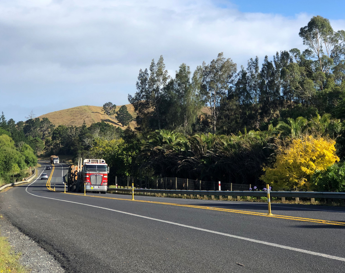 The centreline bollards on SH1 south of Whangarei improve safety by stopping accidental crossing of the centreline and overtaking