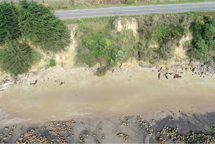 An example of the erosion problem at Katiki Beach
