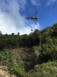 Manawatū Gorge slip
