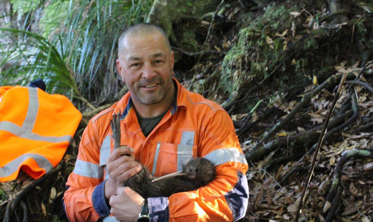 Lee Tuhiwai holding one of the many electronically tagged kiwi in the project area