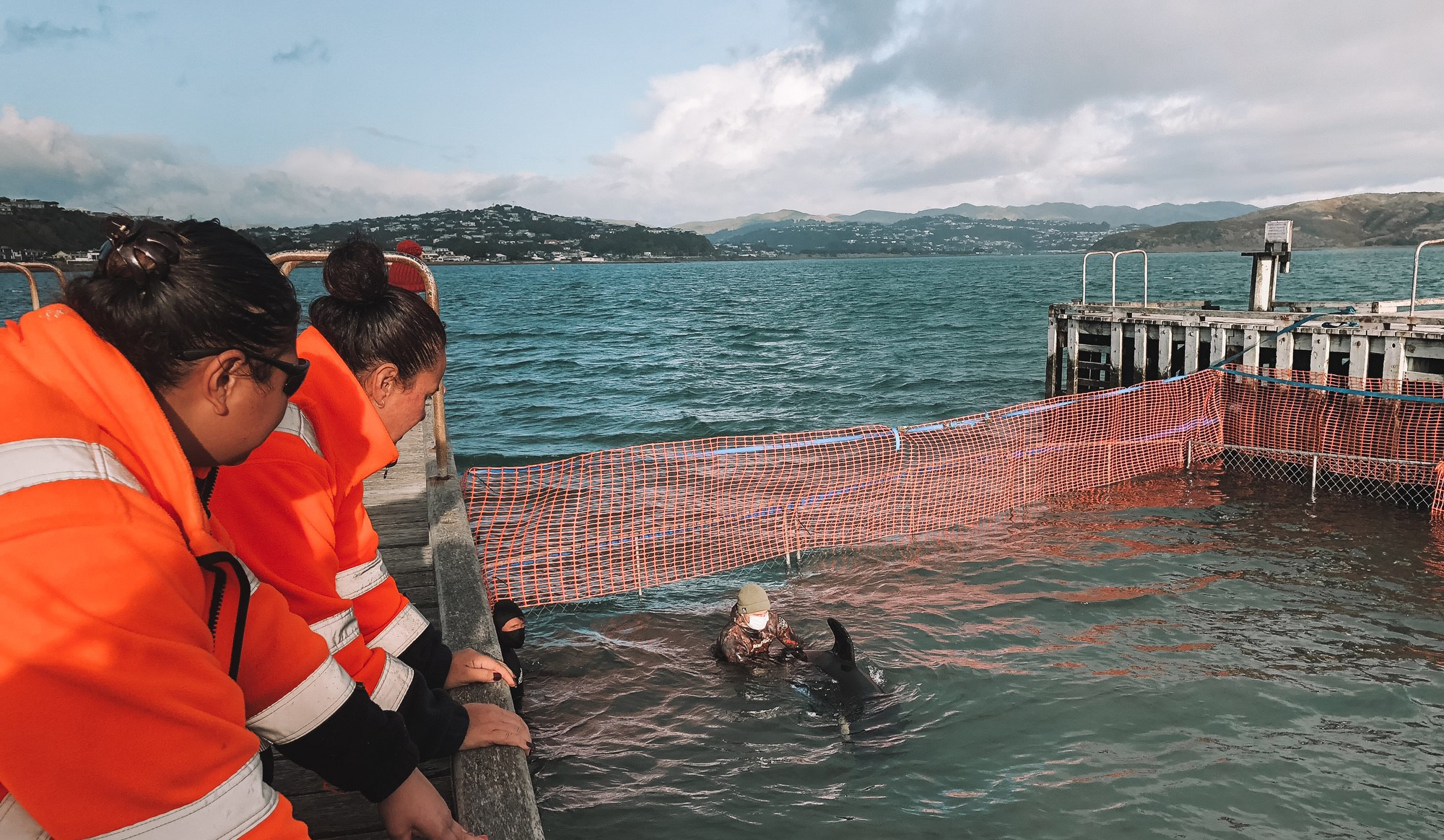 Two women in Hi Vis jackets looking into pen where orca whale, Toa, is swimming