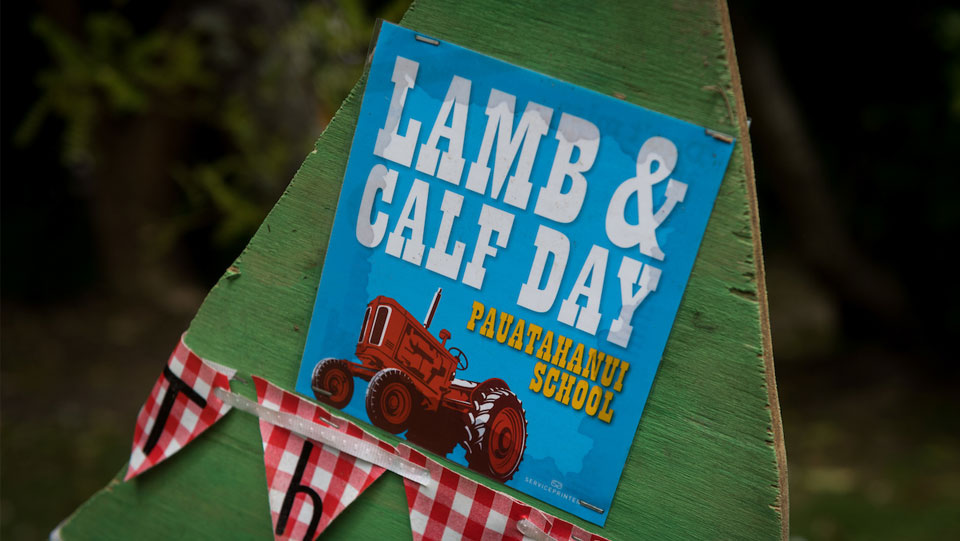 Lamb & Calf Day