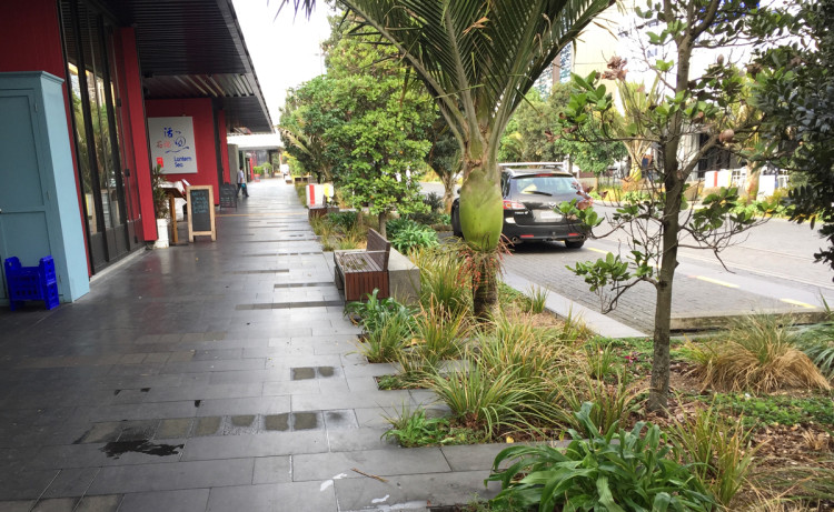 A footpath with a tropical looking rain garden to the roadside. 