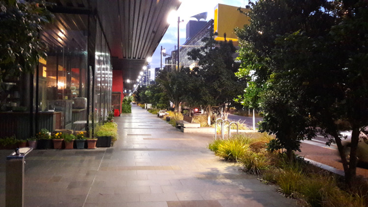 A street with lots of greenery at the edge of the footpath, along shops. It is well lit.