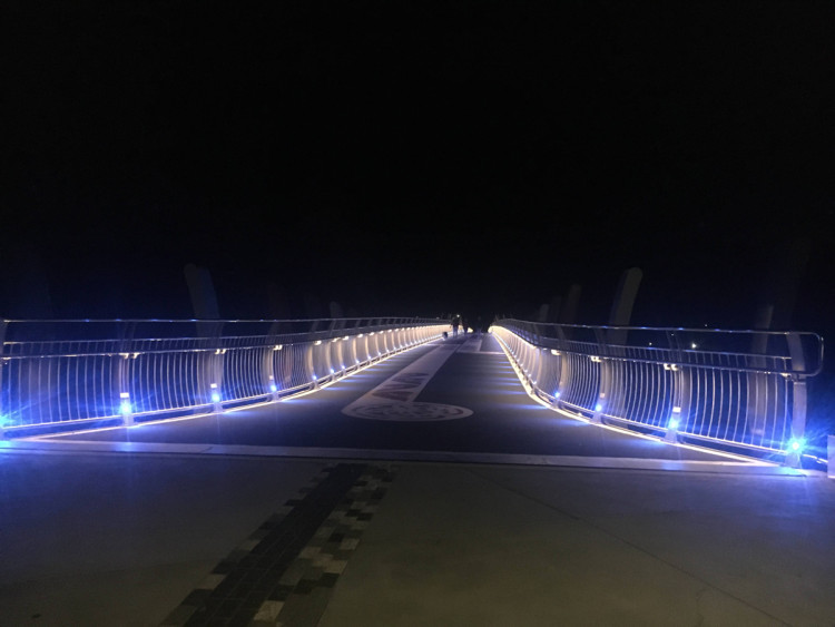 A bridge lit in blue and white at night. The lights are on the fence and handrail.