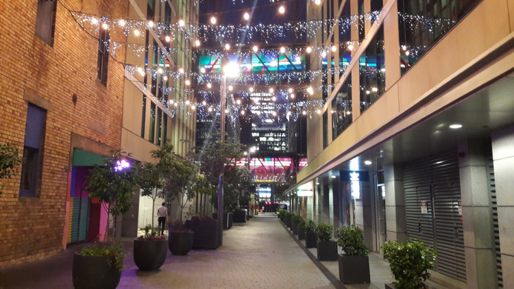 City street in Auckland with hanging lights, greenery, and ambient lighting.