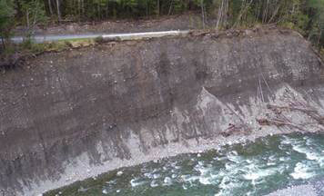 River erosion near the highway and the border of beech trees lining the river
