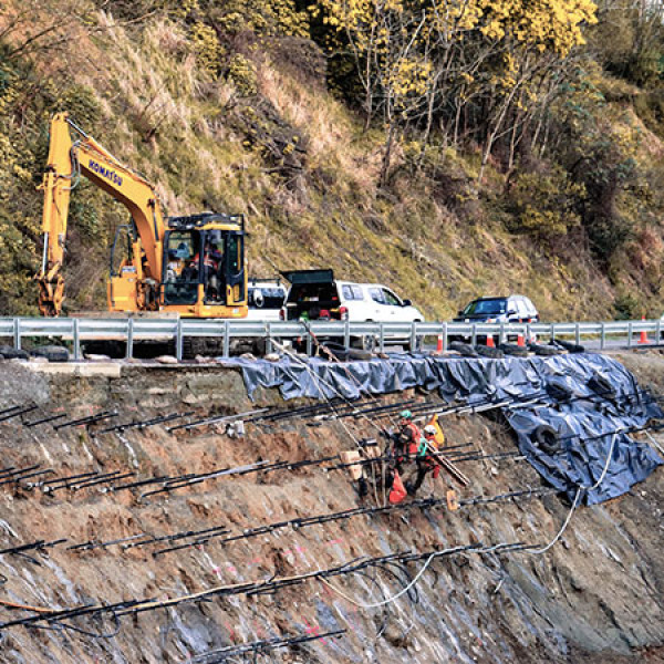 Workers at White Pine Bush 