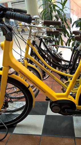 Yellow fleet bikes